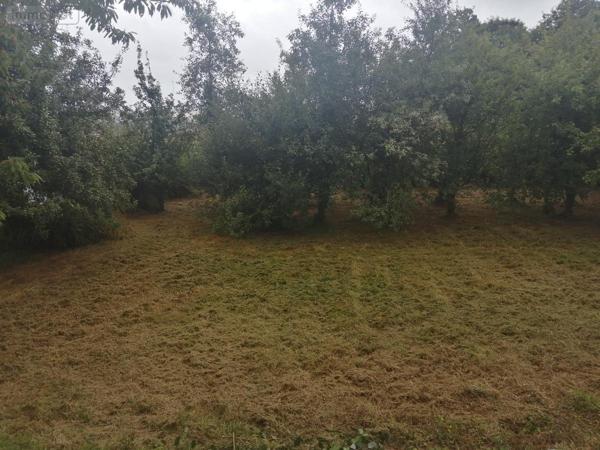 Maison à vendre à Saint-Connec dans les Côtes-d'Armor (22530), ref : 56062-2103