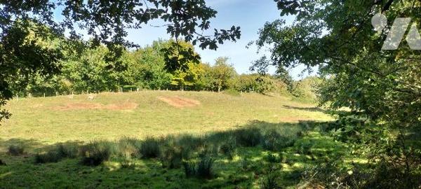 PROPRIETE ATYPIQUE SUR 6HA AU COEUR DU VALLON