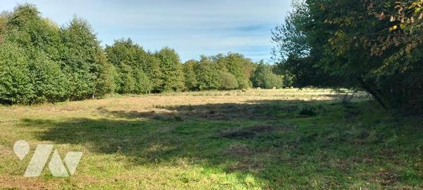 PROPRIETE ATYPIQUE SUR 6HA AU COEUR DU VALLON