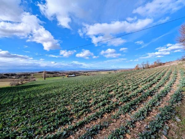 Vente / Terrain agricole