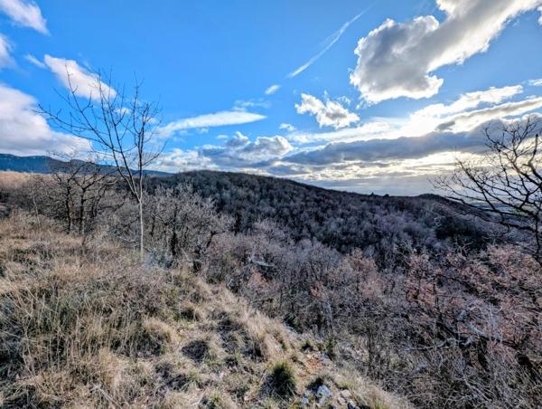 Vente / Terrain agricole