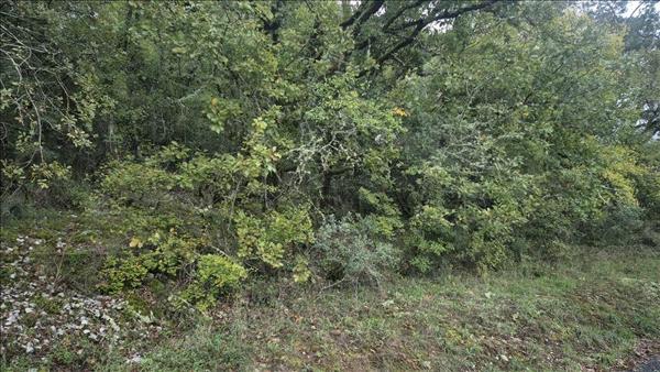 Terrain à vendre |  Souillac |  2247 m²