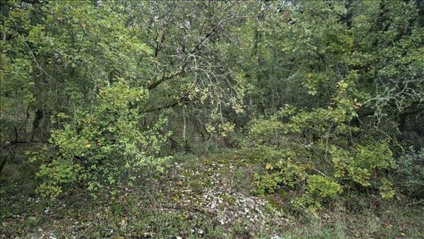 Terrain à vendre |  Souillac |  2247 m²