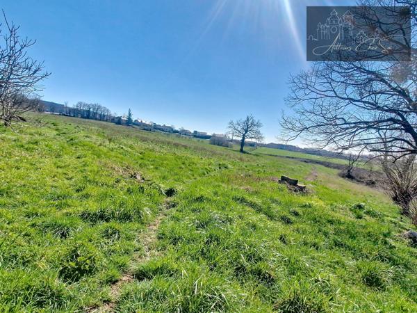 Réquista (12170) Belle Ferme avec dépendances, 3 chambres et 9,5 ha de terres attenantes à Réquista