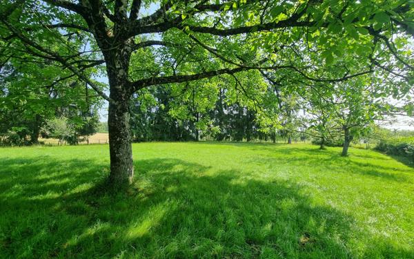 Maison à vendre    4 pièces • 98 m2 Saint-Yrieix-la-Perche