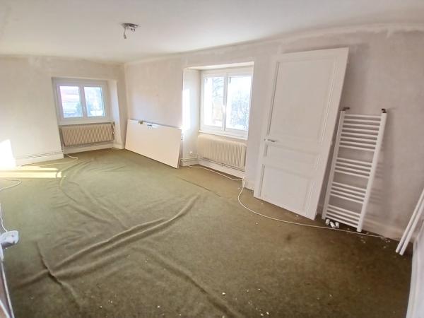 Maison en pierre avec terrain!