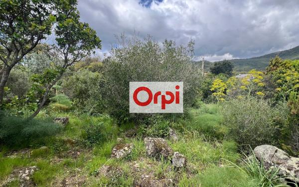 Terrain à vendre    Zonza