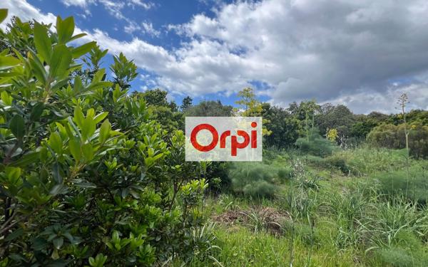 Terrain à vendre    Zonza