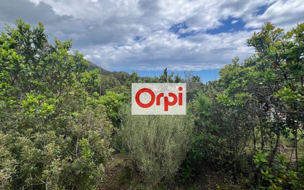 Terrain à vendre    Zonza