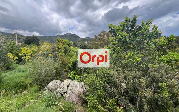 Terrain à vendre    Zonza