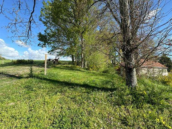 Demeure 228 m2 1,6 hectares