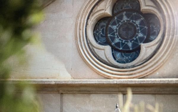 Vente Terrain Constructible Ginestas   