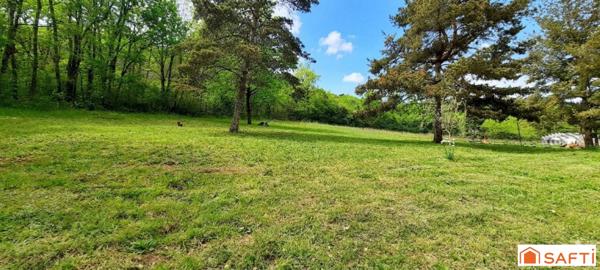 Maison avec grand terrain et véranda