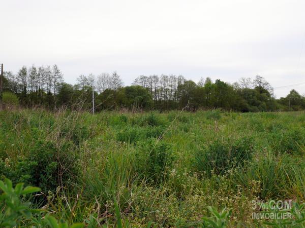Terrain Constructible Viabilisé 588 m² à Bois de Céné Bois-de-Céné (85710)
