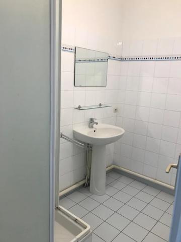 Appartement à louer à Oullins-Pierre-Bénite (69600)