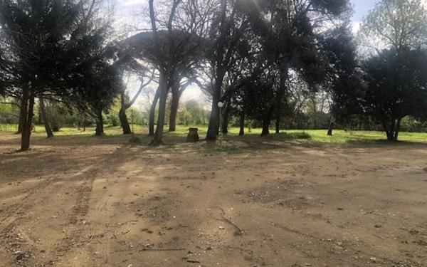 Maison à vendre    15 pièces • 525 m2 Pinsaguel