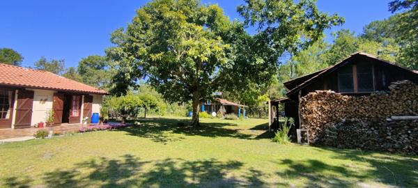 Parentis-en-Born (40160) Maison en viager occupé - Décote - 48 %