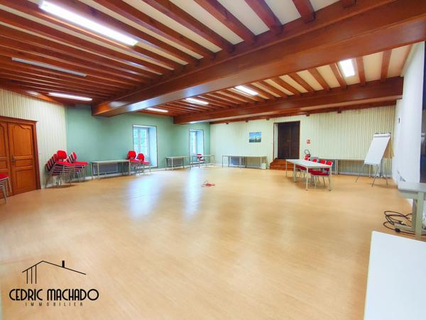 Darcey (21150) Château de 623 m² au cœur de la Côte-d’Or, au sein d’un parc arboré de 2,5 hectares. Actuellement aménagé en b