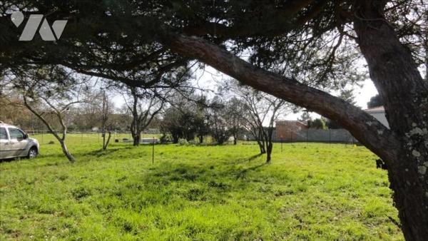 TERRAIN NON VIABILISE