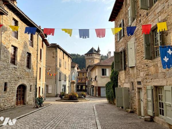 MAISON MALZIEU-VILLE VENTE NU PROPRIÉTÉ (viager occupé sans rente)