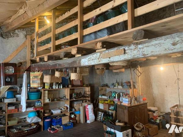 MAISON MALZIEU-VILLE VENTE NU PROPRIÉTÉ (viager occupé sans rente)