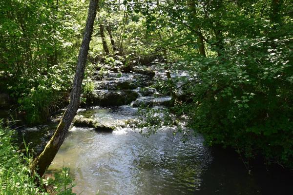 Propriété 10 pièces, 5 chambres, piscine, 1.9 hectare
