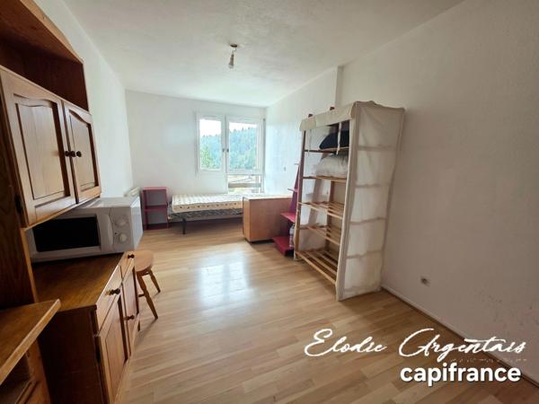 Appartement à vendre 1 pièces BOLQUERE (66)