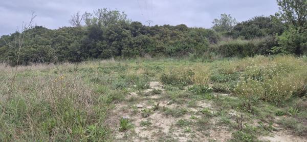 Terrain de 292 m² viabilisé et libre de constructeur