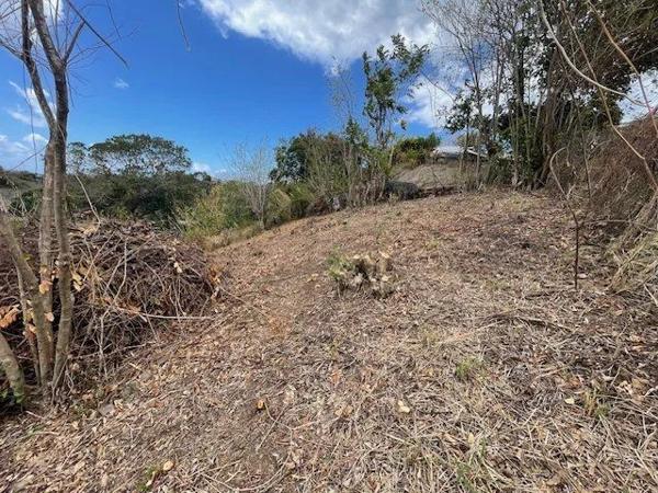 Vente Terrain 799 m2 à Le Diamant