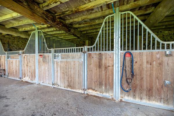 Pau (64) - À vendre Propriété de 450m2 - Forêt et prairie de 20 ha avec vue exceptionnelle sur les Pyrénées au calme.