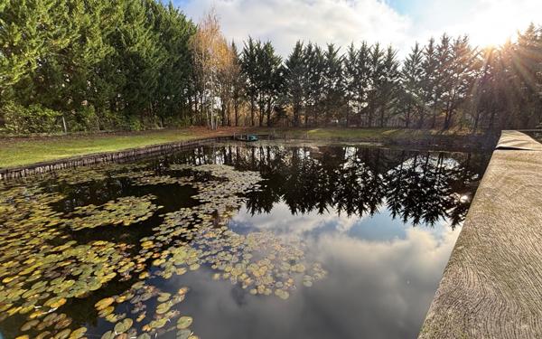 Maison à vendre    5 pièces • 150 m2 Champs-sur-Yonne