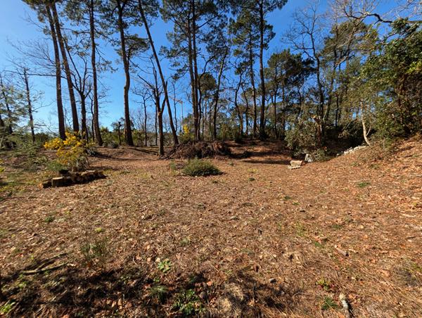 Terrain Capbreton quartier des Vignes 1 000 m2, viabilisé