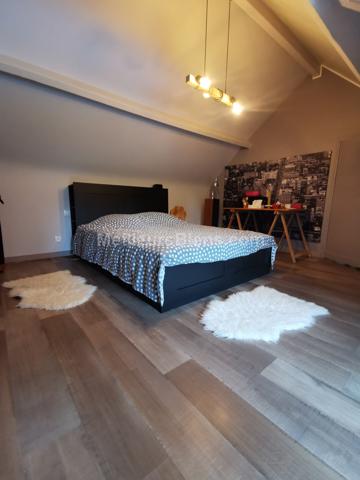 FONDETTES, Maison 180M2, 4 chambres, Maison d'hôtes, dépendances, parc arboré, piscine.