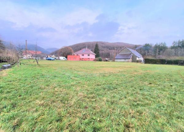 Terrain à vendre    Vescemont