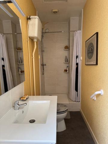 MAISON A VENDRE CENTRE VILLE ROMORANTIN