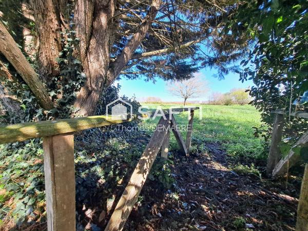 Superbe longère familiale de charme sur plus de 7000 m² de terrain arboré