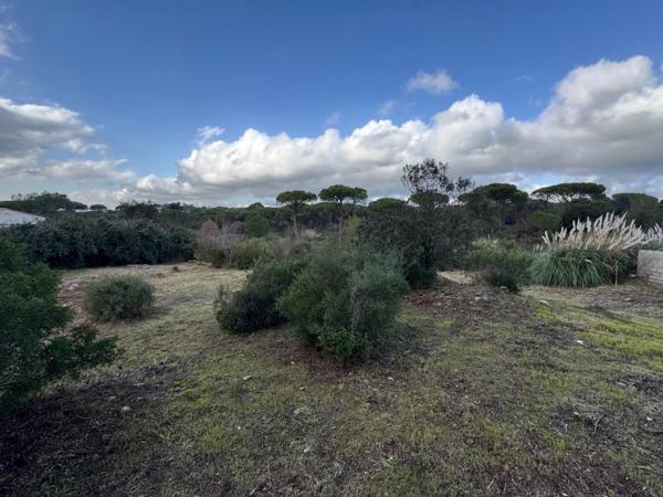 Immobilier Fréjus (83600) – Terrain constructible 1037m2 – 270 000 €