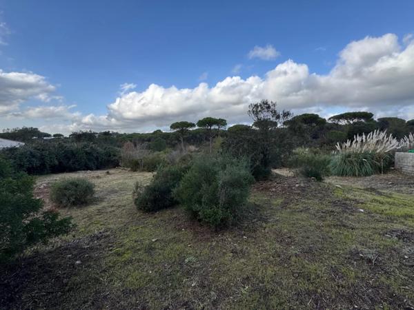 Immobilier Fréjus (83600) – Terrain constructible 1037m2 – 270 000 €