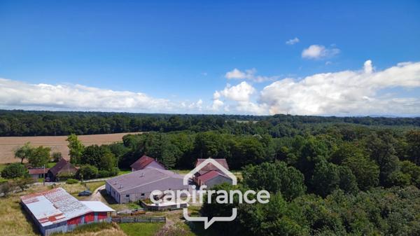 Dpt Jura (39), à vendre proche de BLETTERANS maison P10