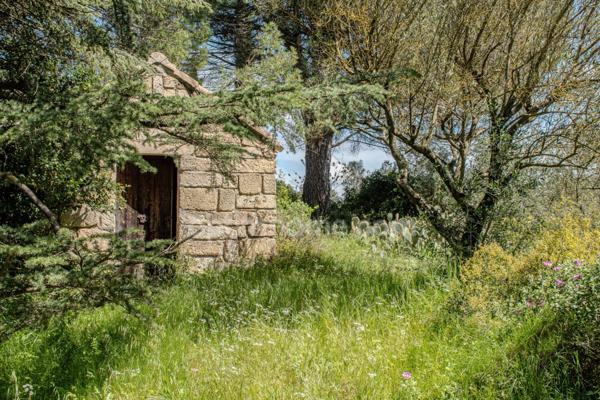 LUNEL (34400) – PROPRIÉTÉ DE CARACTÈRE – PISCINE – T2 INDÉPENDANT – TERRAIN 2 HECTARES – CALME – EXPOSITION SUD – NATURE