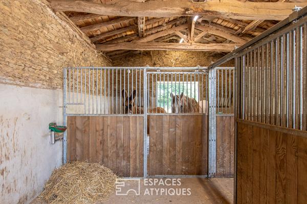 Vaste Propriété de Charme avec Piscine et Installations Équestres