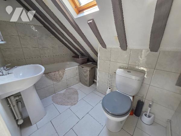 ST ETIENNE DU ROUVRAY, IDEAL INVESTISSEUR, ensemble immobilier mixte commerce et d'habitations