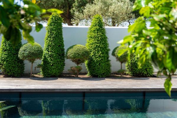 Île de Ré - Sainte Marie de Ré - Maison familiale avec piscine à proximité village et plage