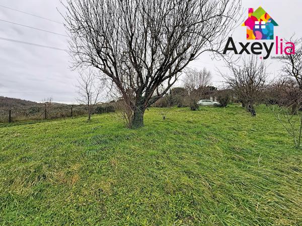 Villerest (42300) A VENDRE - VILLEREST PROCHE BARRAGE - TERRAIN VIABILISÉ DE 1609M2 EN PARTIE CONSTRUCTIBLE AVEC CHALET