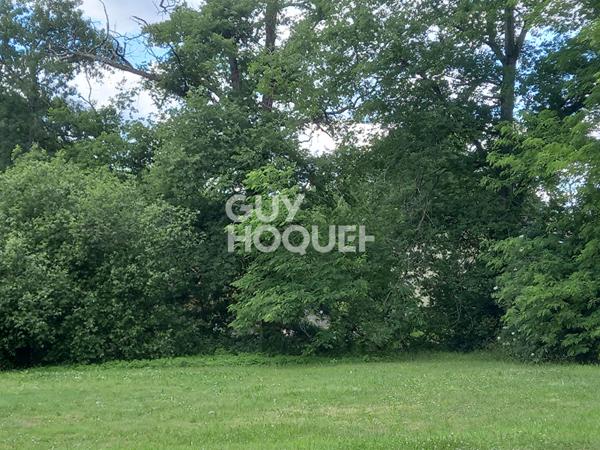 Terrain Les Artigues De Lussac 1156 m2