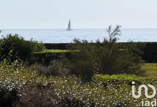 Appartement à vendre 3 pièces 43 m² Canet-en-Roussillon