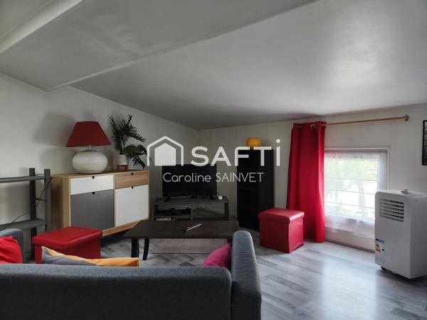 Joli appartement meublé mansardé, lumineux et soigné