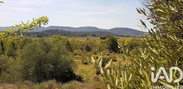 Terrain à vendre 1 506 m² Lézignan-Corbières