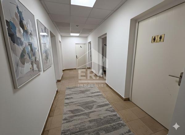 LOCAL PROFESSIONNEL CARCASSONNE