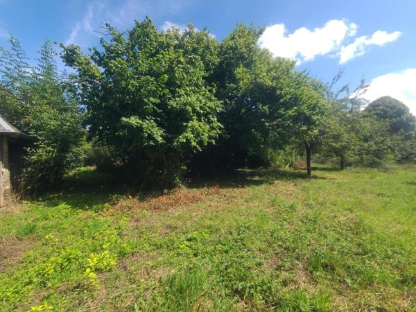 Terrain contructible